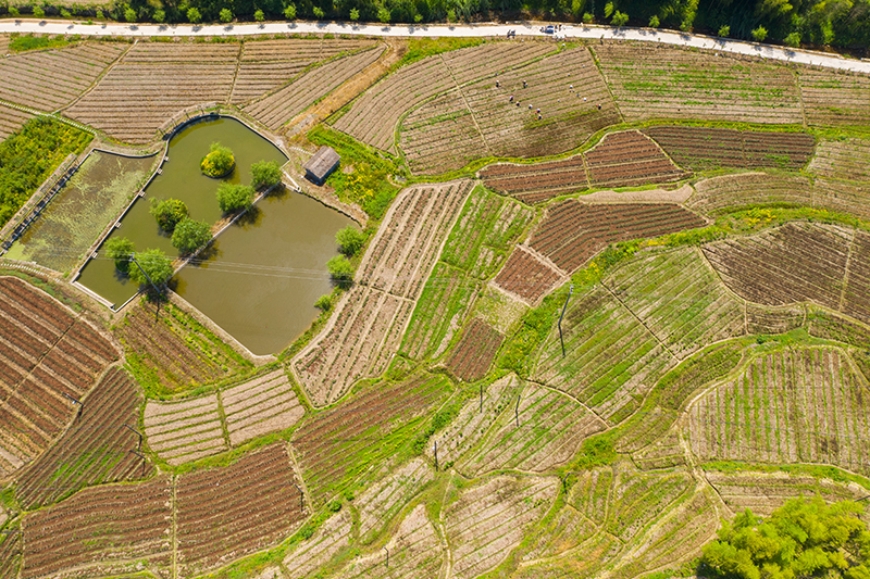 空間長勢(shì)分布